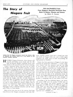 The Story of Niagara Fruit