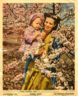 Peach Blossom Time- Mrs. I. J. Shirley and daughter Jeanne on the farm of A.R. Armstrong, Queenston, Ont.