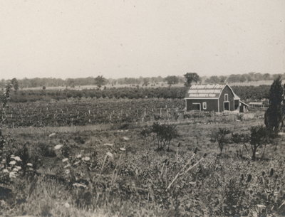 Fairview Fruit Farm in Queenston