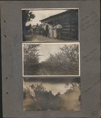 Riverview Farms - family album