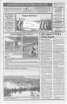 Nipigon Red-Rock Gazette, 29 Jul 2008
