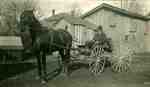 Man in horse drawn buggy