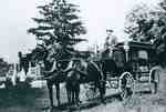 Horse drawn hearse at cemetery