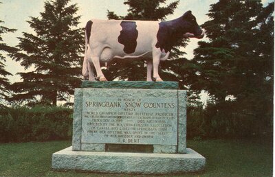 Springbank Snow Countess Monument