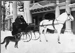 Couple in a sleigh with a dog in front of Altadore