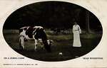 Woman and Cows on a Zorra Farm