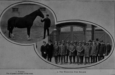 Woodstock Fire Brigade and horse