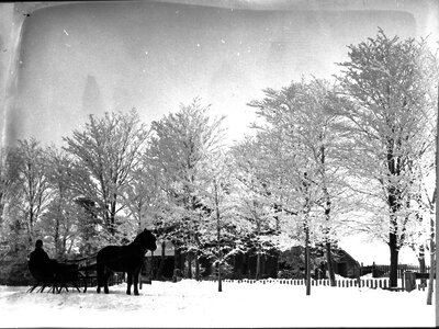 Man in horse-drawn sleigh in winter