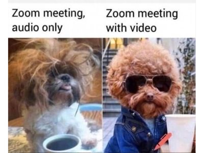 Zoom meeting