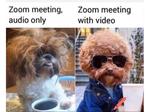 Zoom meeting