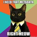 Business Cat Needs Metadata