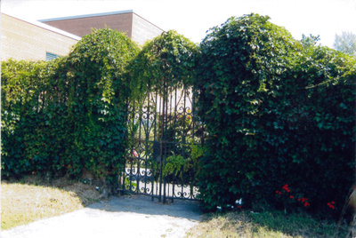 Holy Blossom Cemetery