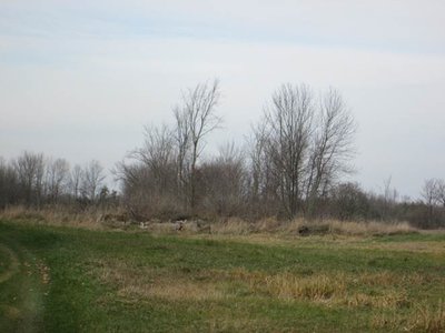 Rudolph Cemetery