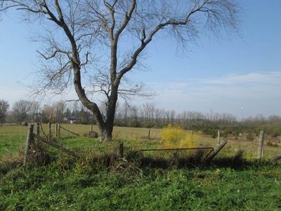 Jaynes Cemetery