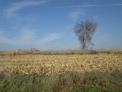 Woodcock Cemetery