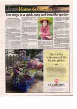 Home & Garden, page H6