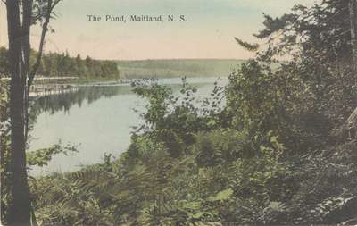 The Pond, Maitland, N.S.