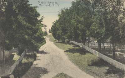 Maple Avenue, Maitland, N.S.