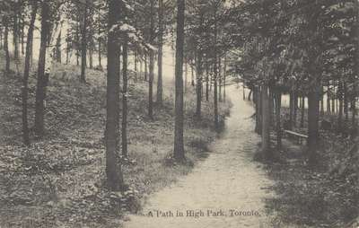 A Path in High Park, Toronto.