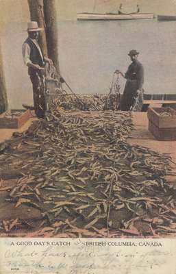 A Good Days' Catch, British Columbia, Canada