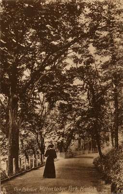 The Avenue, Wilton Lodge Park, Hawick