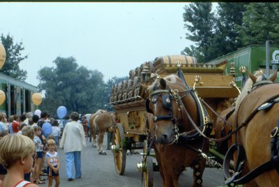 Horse Drawn Wagons