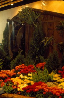 Annual Fall Flower Show