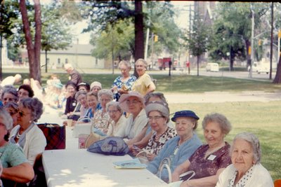 Senior Citizens Picnic