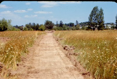 Kinoak Arena Foundation Site