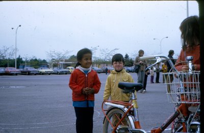 Cycle Road Safety