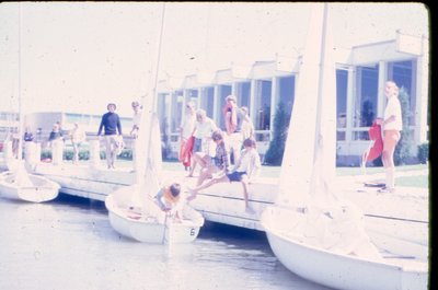 Sailboats on the Water