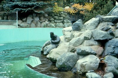 Toronto Zoo '68