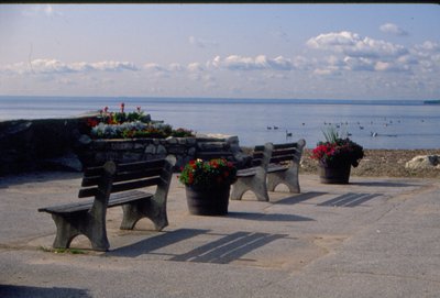 Lake Ontario, courtesy Sheila Creighton