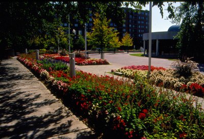 Centennial Square