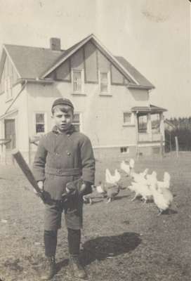 Baseball Among the Chickens