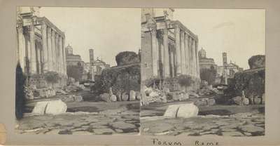 The Roman Forum