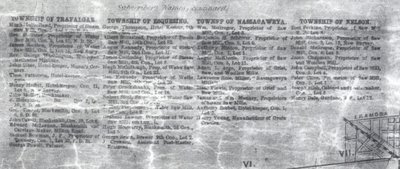 Tremaine's Map of the County of Halton 1858 – Township of Nassagaweya