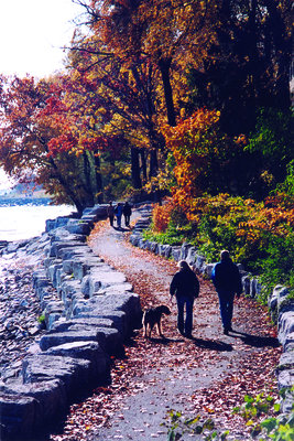 The Lakefront in the Fall