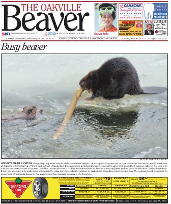 Oakville Beaver, 19 Jan 2012