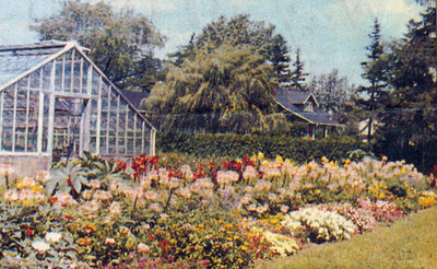 Perkins Family - Greenhouse