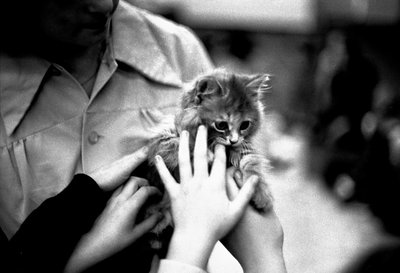 Pet Day at Oakville Public Library