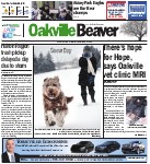 There's hope for Hope, says Oakville vet clinic MRI