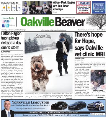 Oakville Beaver, 5 Feb 2015