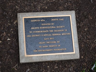 Bronte Horticultural Society plaque at Sovereign House commemorating OHA District 6