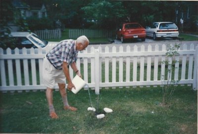 Sovereign House planting (1999)