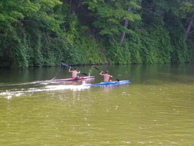 Paddlers on 16 Mile Creek