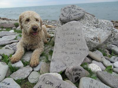 Written Messages on Rocks by the Lake