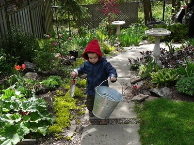Garden helper