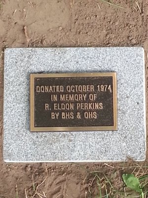 Replacement plaque