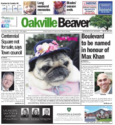 Oakville Beaver, 31 Mar 2016